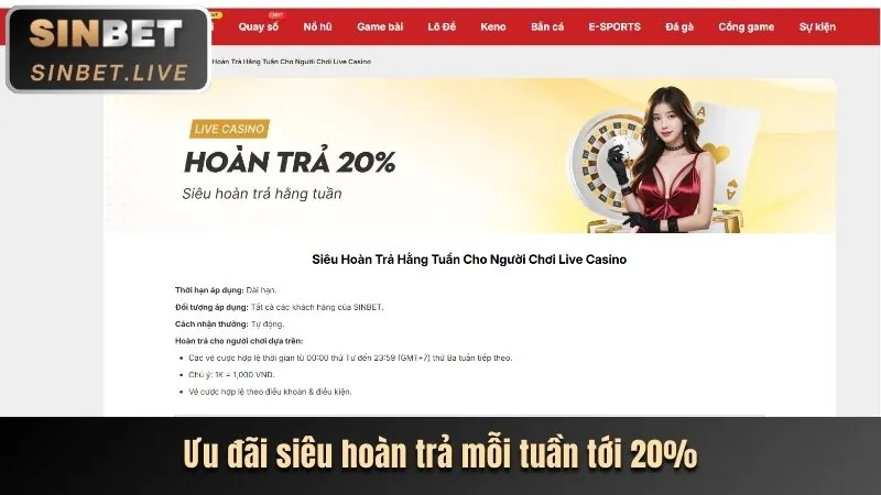Cá cược thể thao tại 87win casino